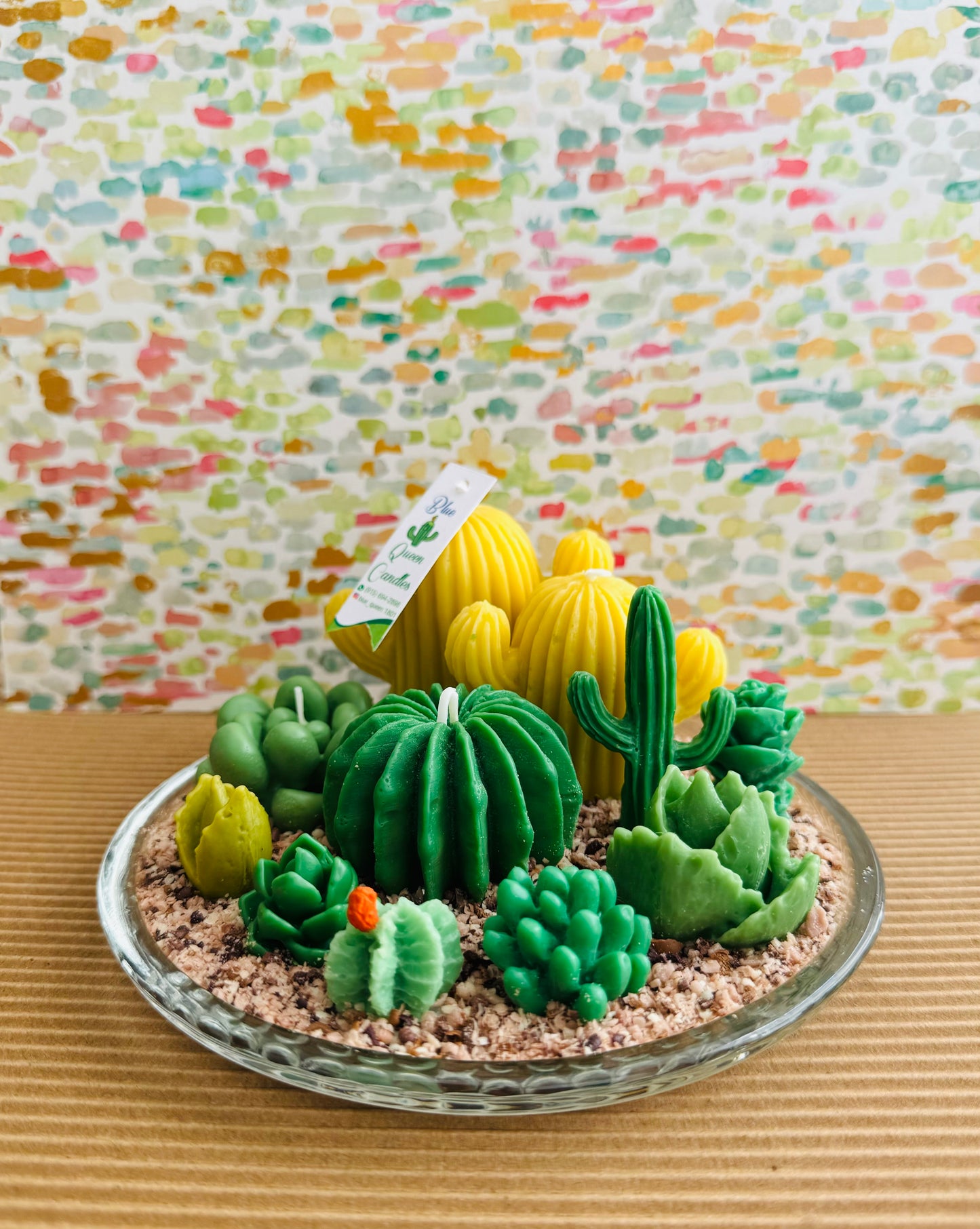 Cactus Terrarium