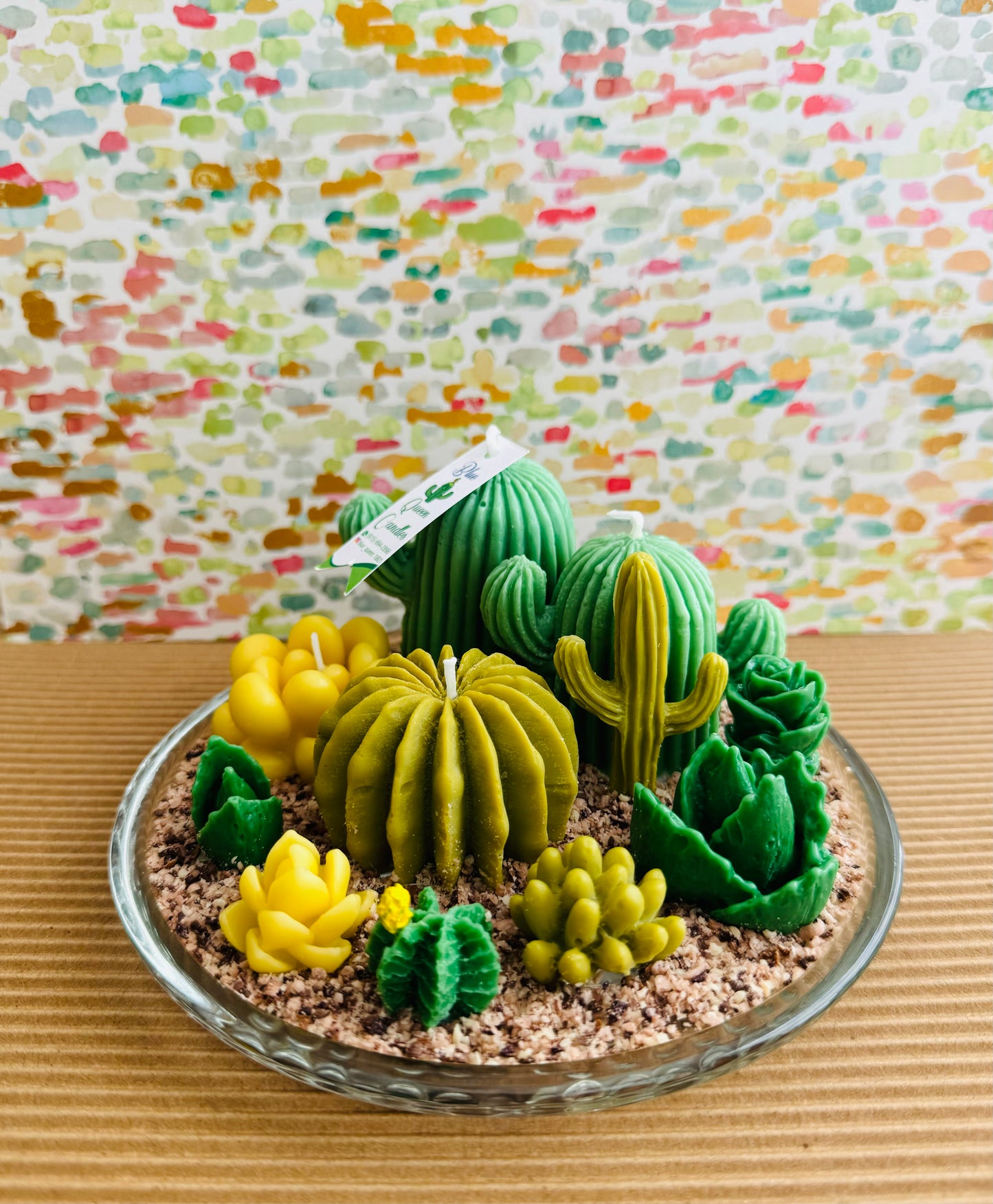 Cactus Terrarium